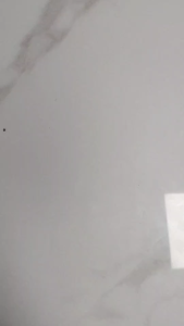 ขาตั้งและน็อตสแตนเลสที่แขวนสายชำระ