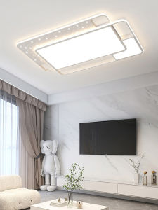 Elegant Modern Premium Eye-Protecting Ceiling Light