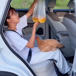 เบ็ดพนักพิงศีรษะเบาะนั่งรถแขวนเบาะที่นั่งรถจัดเก็บจัดเก็บสำหรับเสื้อโค้ทกระเป๋าเงินถุงขายของชำกระเป๋า