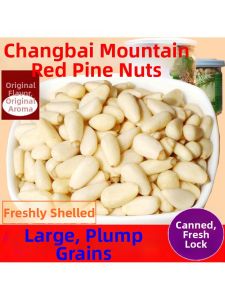 New Large Pine Nuts