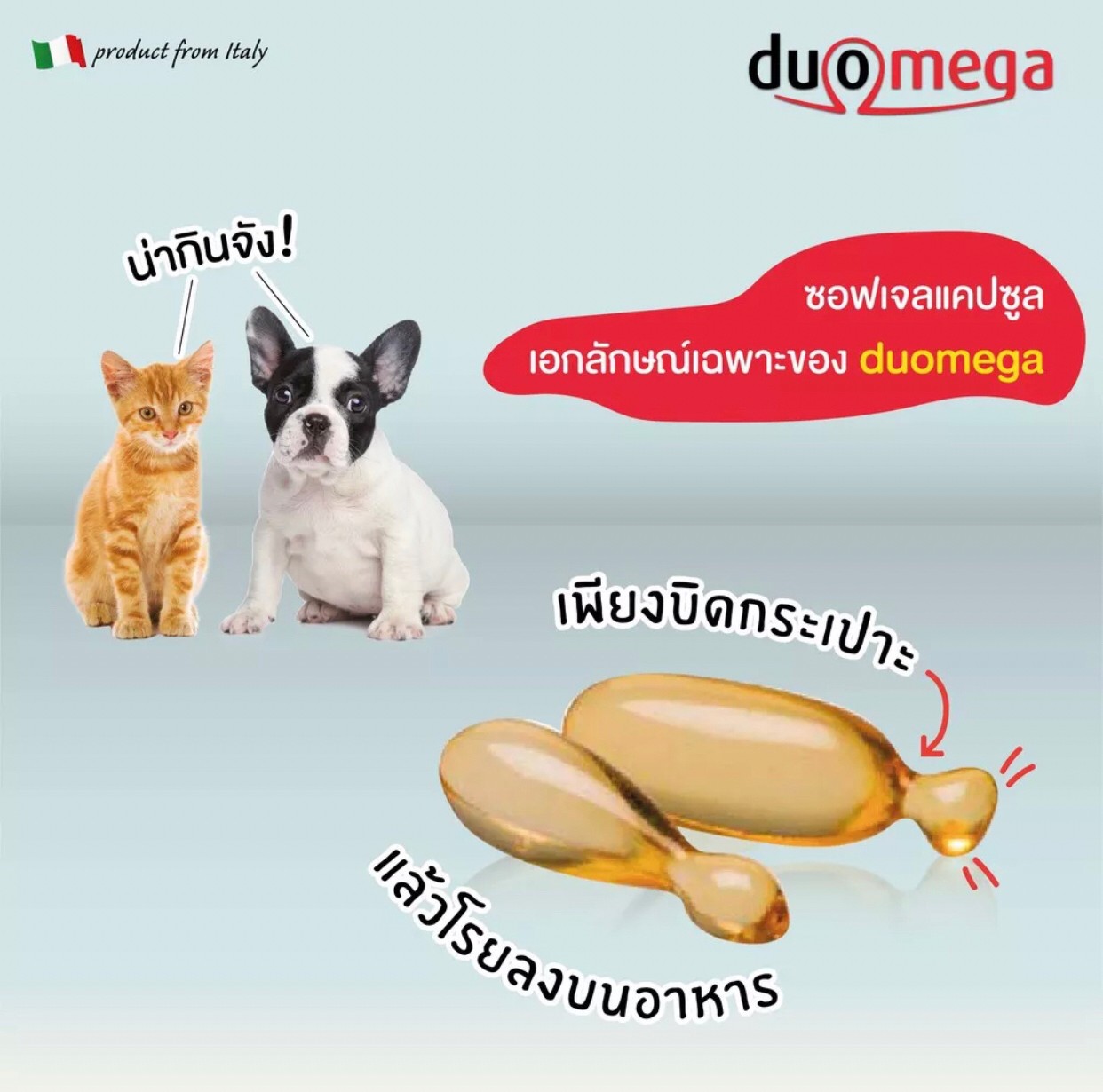 วิตามินและแร่ธาตุ Duomega 500 mg 1 กระปุก วิตามินบำรุงสำหรับสัตว์เลี้ยง