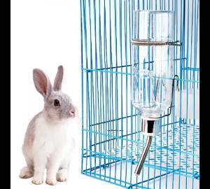 180/350ml Stainless Steel Hanging Water Dispenser for Pets Automatic Dog Hamster Rabbit Kettle Pet Supplies