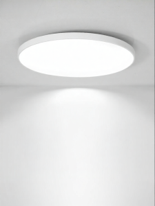 DGY | Ultra-thin Tri-Protect Multiroom Ceiling Light