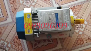 Mô tơ điện toàn phát 35kw  tương đương 467hp vòng tua 1400v/p