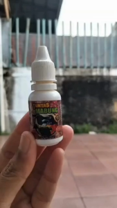 Tuntas Mabung Semua Burung Kicau untuk burung bermasalah Mengatasi Pertumbuhan Bulu