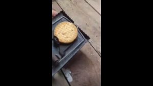 Jebakan Tikus Perangkap Tikus Besi Jepretan Tikus Besar Jepit Tikus Jepitan Tikus Perangkap Tikus