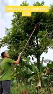 KÉO CẮT CÀNH KÈM CƯA. Kéo Tỉa Cành Trên CAO Đa Năng 3IN1 Kèm Cưa Tiện Dụng Cho Mọi Gia Đình Có Cây Cối cao