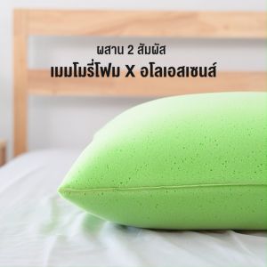 SiamLatex หมอนเมมโมรี่โฟม สุขภาพ หมอนหนุนหัว Aloe Memo หมอน