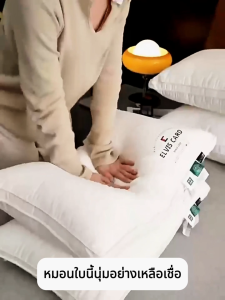 🛏 【YOU】 หมอนหนุนซิป-บอดี้ซิป ขนห่านเทียม Microgel ลดปวดคอบ่าไหล่ กันไรฝุ่น ลดภูมิเเพ้ ไมโครเจล