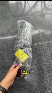 Chổi Lau Xe Chổi Rửa Xe Lau Bụi Đa Năng Chổi Quét Nhà Cửa Cán Chổi Có Thể Kéo Dài – Chổi Vệ Sinh Sợi Quang Dầu Microfiber
