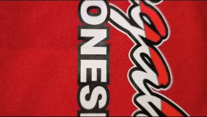 BD Atasan Kaos HUT Wandahayu RI 80 1945 Kemerdekaan RI 2025 Kaos Merah Putih 17 Agustus Kaos Pria Kaos Wanita Katun Combed