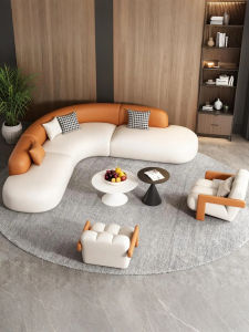 Designer Living Room Small Space Sofa Colorful Cat Proof
