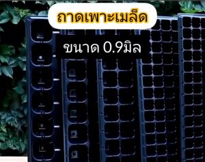 ถาดเพาะกล้า ถาดเพาะชำ ถาดเพาะเมล็ด รุ่น GT วัสดุ PET ยืดหยุน ป้องกันรากเน่า ของแท้