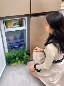 Sealed Drain Storage Ginger Garlic Onion Refrigerator Crisper Debris Fresh Fruit Vegetable Storage 冰箱葱花姜蒜保鲜盒