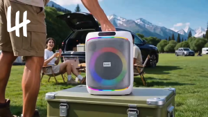 Speaker BTS-2801 Brodu 8 inch Bluetooth Speaker With Rechargeable Wireless Microphone