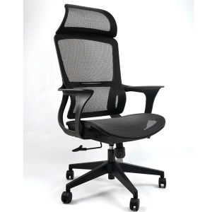 Ergonomic Adjustable Chair