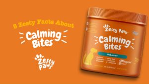 Zesty Paws Advanced Calming Bites Dogs Behavior - Turkey Flavor (10 Soft Chews) (10/20/30/90 Soft Chews) (EXP:10 2026)