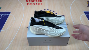 2025 HARDEN VOLUME 10 | Basketball Shoes Men & Women - James Harden Signature Shoes for Indoor Court & Streetball