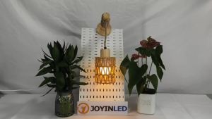 JOYINLED Pack of 1/2 E27 Wall Light Fixture Japanese Style Woven Paper Rope Wall Sconce Wood Grain Finish Iron Body Basket Shade