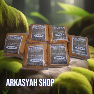 DEMPUL AIR KAYU JATI 1 KG WATERBASE SUPER REKAT CEPAT KERING 6 PCS