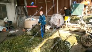 COMBO 5 L-ưỡi da-o máy băm cỏ voirau bèo làm từ thép rẻn s-ắc bén