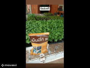 เบ็นมิโก้90 (𝐁𝐞𝐡𝐧𝐦𝐢𝐜𝐨𝟗𝟎)🟤⚫ ✅ #ชุดย่อยสลาย ตอซัง ฟางข้าว ปรับโครงสร้างดิน