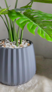 กระถางเบลล่า รุ่นเซาะร่อง พลาสติกเนื้อหนา เบา ตัวกระถางกักเก็บน้ำได้ในตัว เกรด A มี 3 สี ปากกว้าง 5 นิ้ว