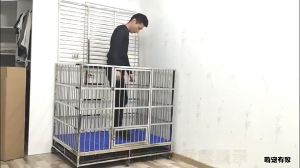 Chuồng Chó Chuồng Chó Inox Chuồng Mèo Dày Dặn Bền Bỉ Và Chống Rỉ Sét Có Phòng Vệ Sinh Riêng Sử Dụng Được Cả Trong Nhà Và Ngoài Trời