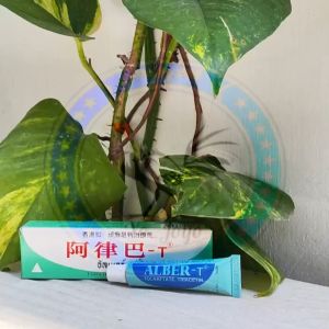 Albert obat korep thailand