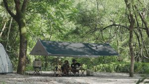 Naturehike Camping Shelter Canopy Ultra-light Outdoor Waterproof And Sunscreen Shelter Sun Shade NH20TM006