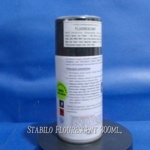 Cat Semprot Bwin Fluorescent & Stabilo Pylox Pilox