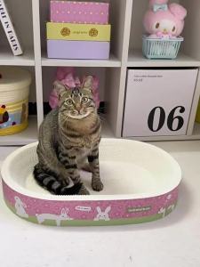 HELLOLEIBOO | Durable Non-shedding Large Cat Scratching Board