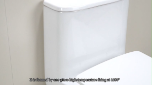 Ceramic Water Saving Toilet Bowl Set Flush Toilet with Seat Cover and Flush Set
