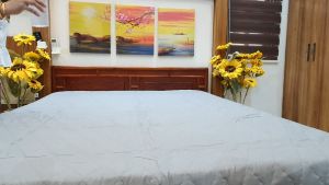 WaterProof Bedsheet HypoAllergenic Bedcover Mattress Toppers Bedding Accessories Bedding Sets