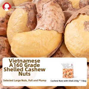 CHUNJIANGYUE | Salted Roasted with Skin Large Sized Cashews