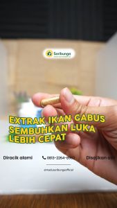 ALBUMINAVIT KAPSUL SARIBUNGA - Kapsul Albumin Original - Mempercepat Proses Penyembuhan Luka