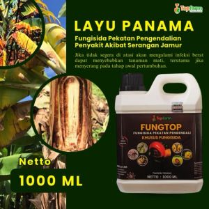 Obat Layu Pada Tanaman Cabe / Obat Layu Untuk Kentang / Obat Layu Fusarium Cabe/ Obat Layu Terong / Obat Layu Fusarium Pisang / Obat Layu Fusarium Pada Melon / Obat Layu Fusarium Terbaik