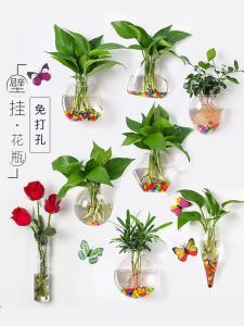Bình Hoa Treo Tường Bằng Thủy Canh Sáng Tạo Trang Trí Nhà Cửa Phong Cách Nông Trại Lớn Nhỏ Tùy Chọn Chất Liệu Thủy Tinh