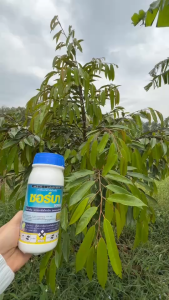 ซอร์บา (อะซอกซีสโตรบิน)