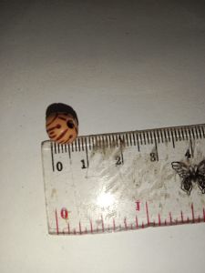 Manik"/mote bulat coklat motif kayu 8mm