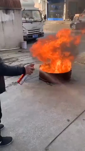 SG READY STOCK Portable Fire Stop Spray Fast Fire Extinguisher for Car Home Kitchen & Office Electrical&Grease Fire Safe