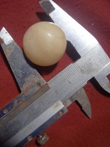 mustika kelapa bukan kentus kelapa bentuk bulat