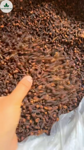 Nụ đinh hương 300g đinh hương khô nụ to thơm gia vị nấu phở tẩm ướp thơm ngon chuẩn vị