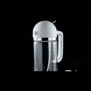 Dual Function Oil Spray & Pour Glass Bottle | Kitchen Cooking BBQ Oiler (Black I White)