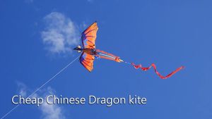《SG stock》New Animal kite Cartoon kids toy birthday gifts outdoor activities 150M 200m 300M 400m Reels