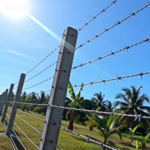 Galvanized Iron Chicken Wire Barbed Wire 50/100/200M Anti-Climb Farm Bakod Outdoor Security Fence