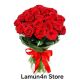 Lamun4n Store