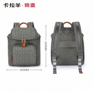 Caran·Y | Theft-proof Business Commuter Laptop Backpack