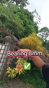 Bearing Steel Ball 8mm (1 kg/470 pcs) 8mm Bearing beads Steel beads