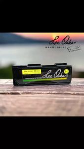 Harmonica Lee Oskar Harmonic Minor 1910H - EASTERN EUROPEAN GYPSY YIDDISH ASIAN TANGO REGGAE